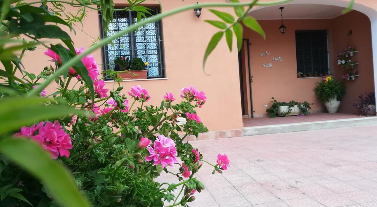 Allotjament i esmorzar La Casa Dei Sogni
